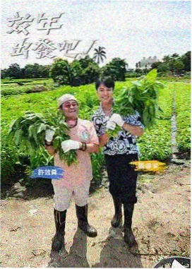 资讯配图：温室长桌上摊开的对谈提纲